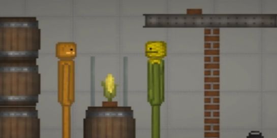 蔬菜游乐场中文版图3