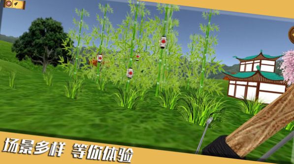 靶心射击游戏安卓版图1
