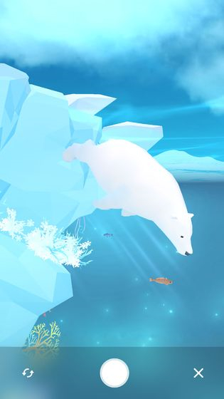 深海水族馆极地国际服(3)