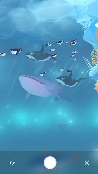 深海水族馆极地国际服(5)