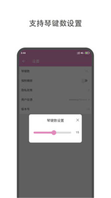 哆哆拇指琴图2