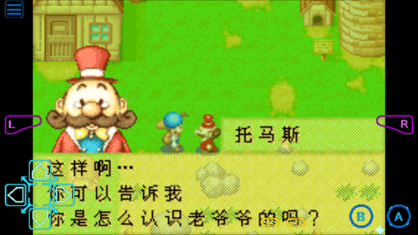 牧场物语矿石镇的伙伴们手机版图2