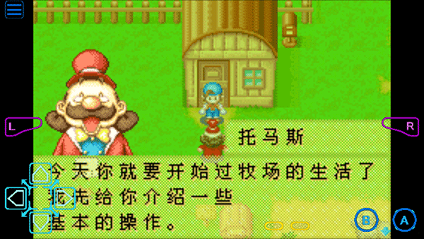 牧场物语矿石镇的伙伴们手机版图3