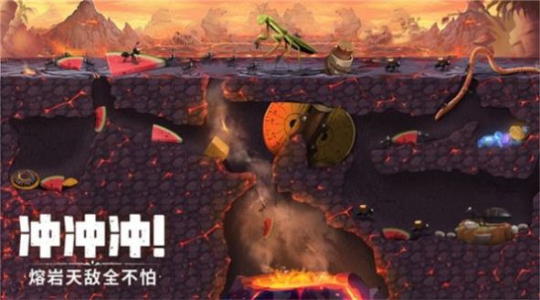 机智的小动物老版图3