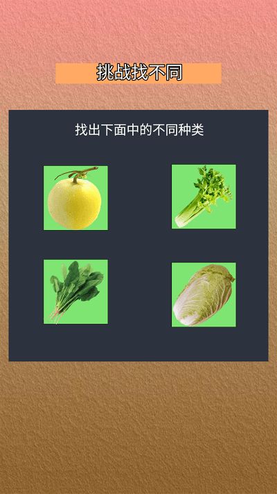 我会找不同 (1)