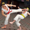 散打武术模拟怀旧版 
