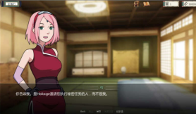 女忍者训练师(2)
