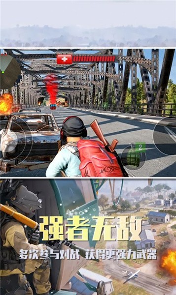 沙漠雄鹰正版(3)