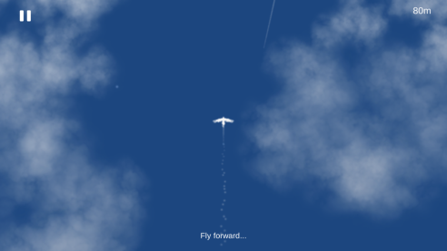 天之鸟手游安卓版图2