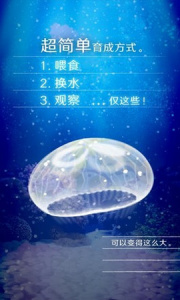 养育水母的治愈游戏中文版图3