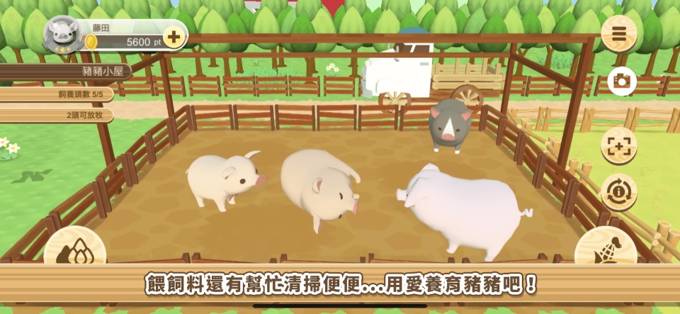 养猪场3D安卓版图2
