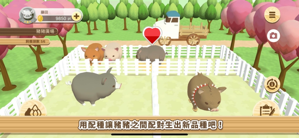 养猪场3D安卓版图1