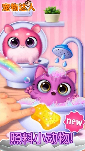 宠物达人手机版图2