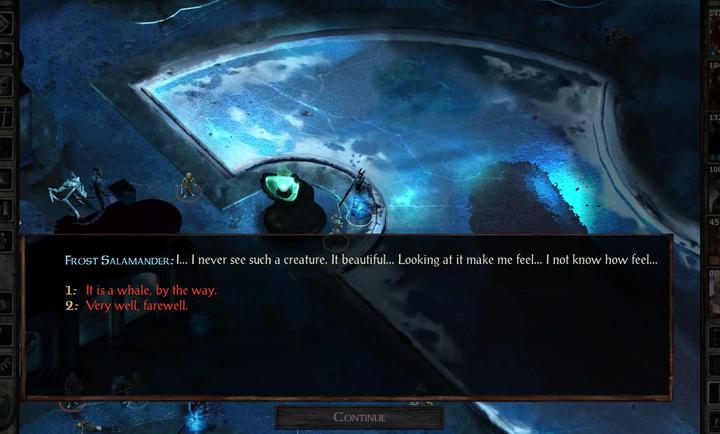 冰风谷增强版图2