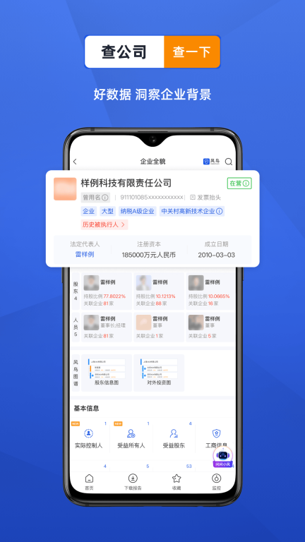 风鸟图1