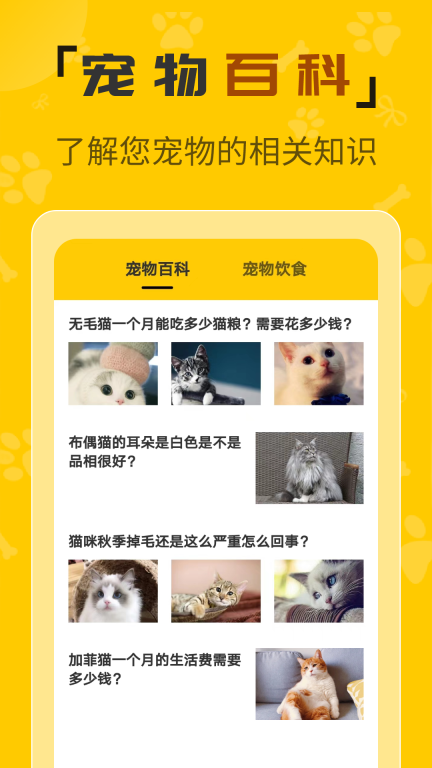 人猫翻译机免费版(1)