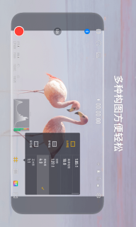 StaCam图4