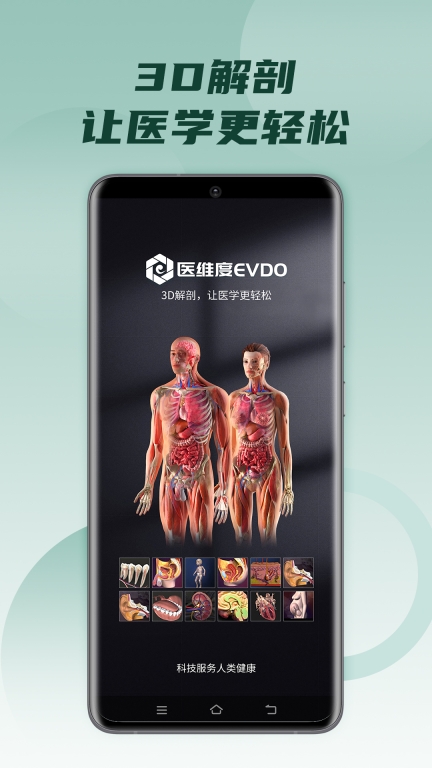 医维度解剖图1