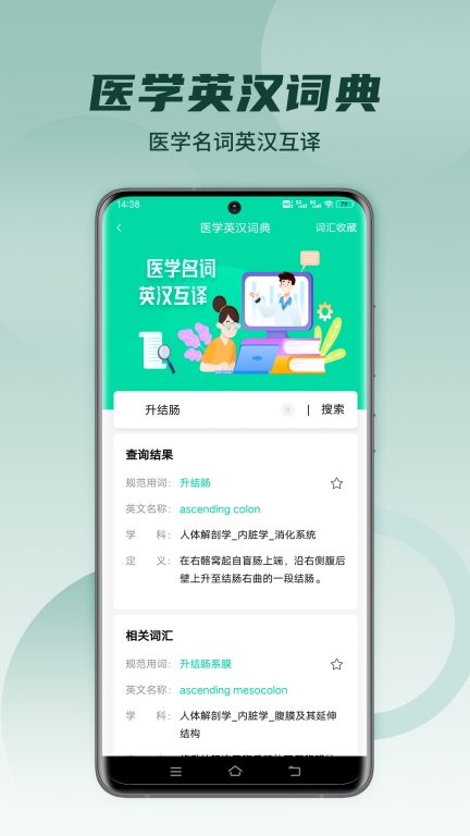 医维度解剖图3