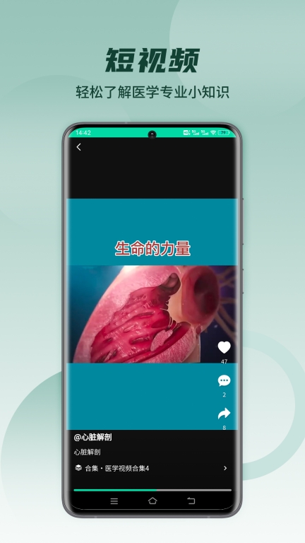 医维度解剖图5