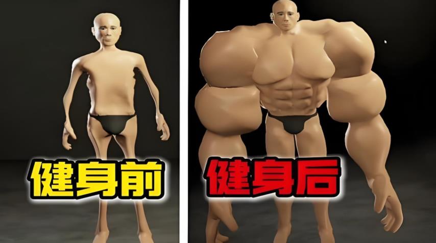肌肉百分百图3