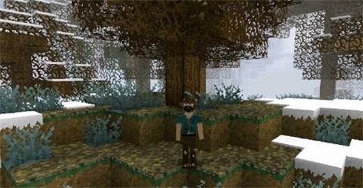 生存战争2.4中文联机版图3