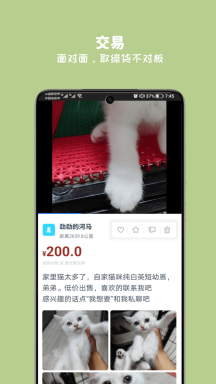 万物(4)