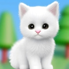 被迫营业的猫猫 