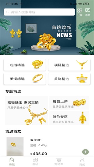 嘉骏珠宝(3)