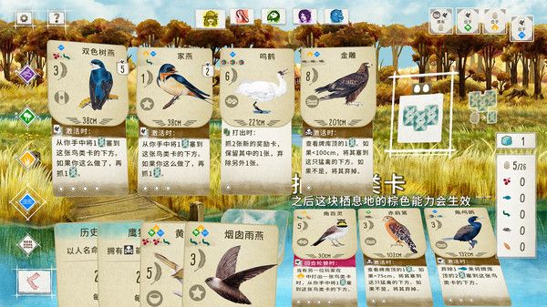 Wingspan中文版(2)