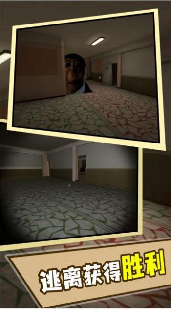 奥本加躲猫猫 (3)