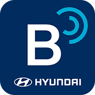 Bluelink最新版