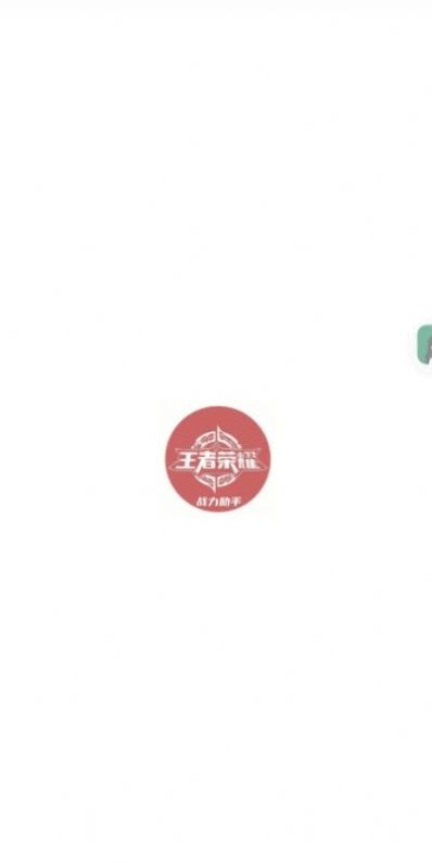 王者战力助手神器ios (1)