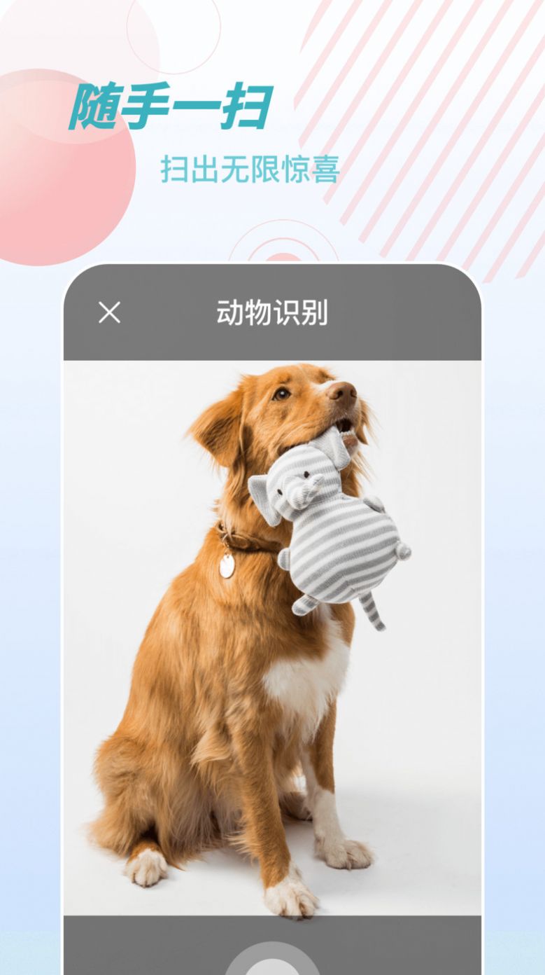 物品识别师手机版(2)