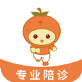 桔小跑陪诊 