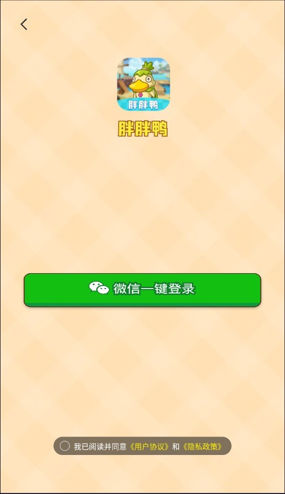 胖胖鸭图2