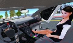carsimulator(3)