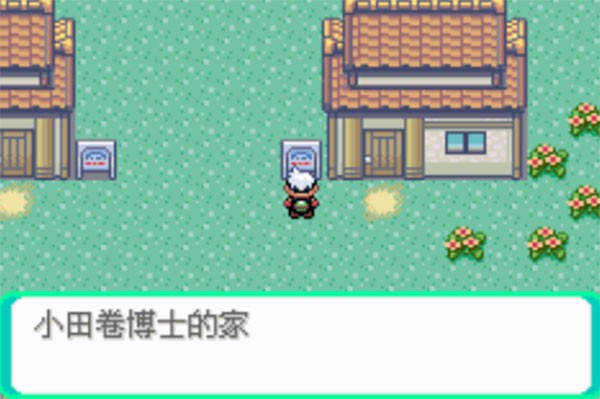 口袋妖怪传说绿宝石1.6.0最新版(2)