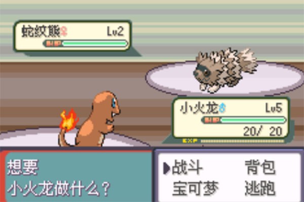 口袋妖怪传说绿宝石1.6.0最新版(3)