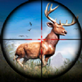 Subway Deer Hunter手机版