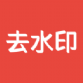 AI去水印软件 