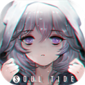 灵魂潮汐台服