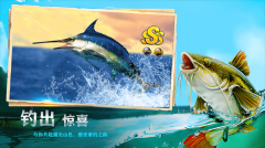 钓鱼佬的成长之路(3)