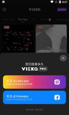 Vieka 最新版(2)