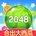 合出大西瓜 