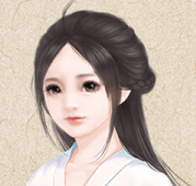 我做夫人那些年bug版本