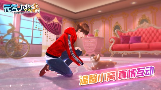 元气小狗(2)
