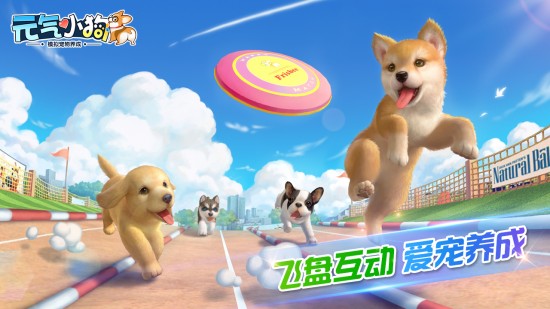 元气小狗(3)