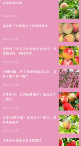 桃源生活录(3)