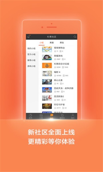杉果图2